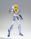 (PO) Saint Cloth Myth EX Cygnus Hyoga (Final Bronze Cloth) Image_5