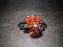 (PO) AQUACULTURE TANK 008 Fiddler Crab Silver Red Image_7