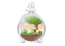 (PO) Sumikkogurashi Terrarium [BOX] Image_7