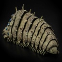 (PO) Takeyashiki Jizaiokimono Nausicaä of the Valley of the Wind - Ohmu (Small) Blue Ver. Image_5