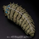 (PO) Takeyashiki Jizaiokimono Nausicaä of the Valley of the Wind - Ohmu (Small) Red Ver. Image_8