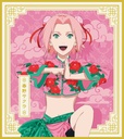 (PO) Naruto Shippuden Original Illustration Mini Shikishi Collection China Ver. [BOX] Image_4