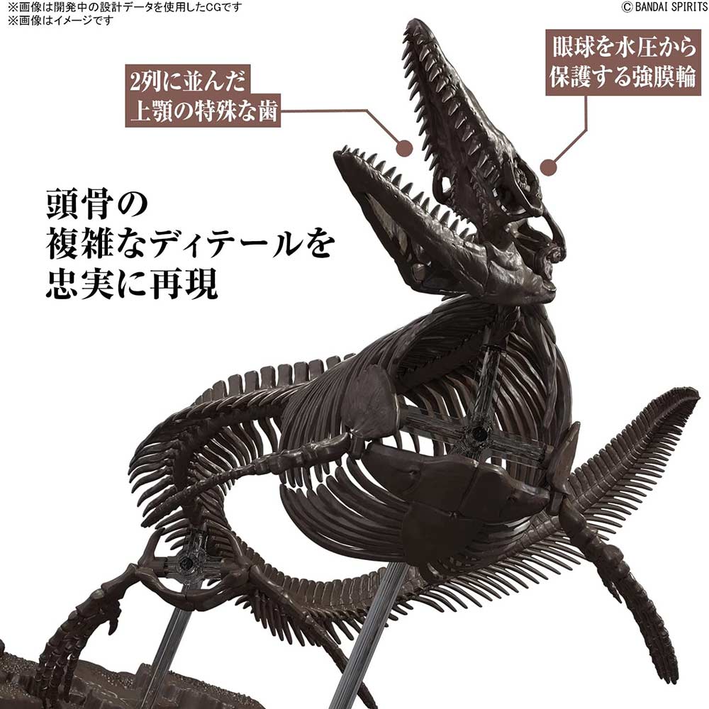 (PO) 1/32 Imaginary Skeleton Mosasaurus Image_3