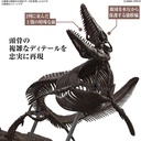 (PO) 1/32 Imaginary Skeleton Mosasaurus Image_3