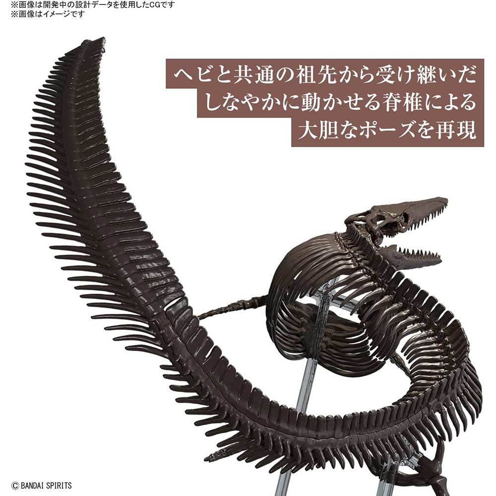 (PO) 1/32 Imaginary Skeleton Mosasaurus Image_4
