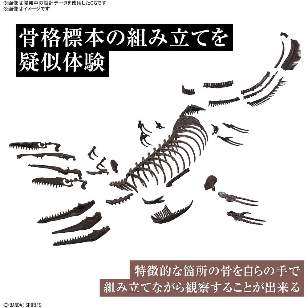 (PO) 1/32 Imaginary Skeleton Mosasaurus Image_5