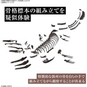 (PO) 1/32 Imaginary Skeleton Mosasaurus Image_5