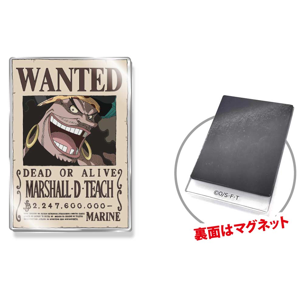 (PO) One Piece Acrylic Wanted Poster Magnet Vol. 2 Blackbeard Image_1