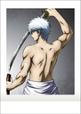 (PO) Gintama PashaColle Vol. 3 [BOX] Image_2