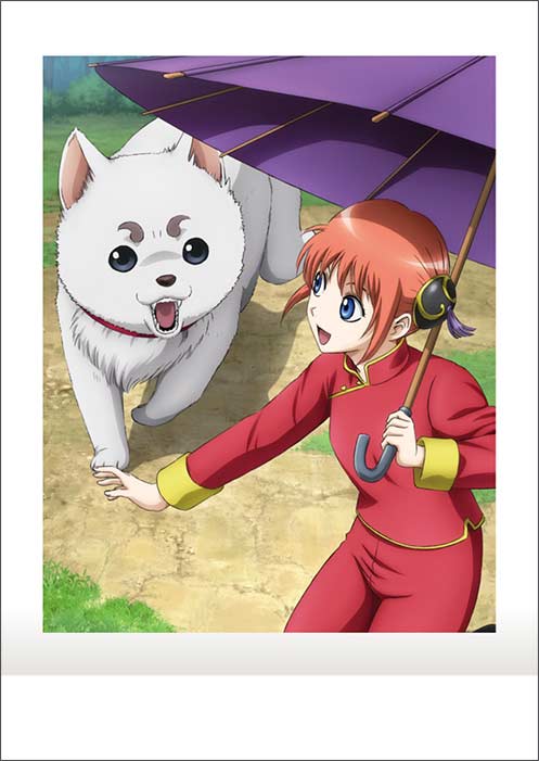 (PO) Gintama PashaColle Vol. 3 [BOX] Image_12