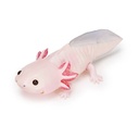 The Diversity of Life on Earth - Axolotl  Image_4