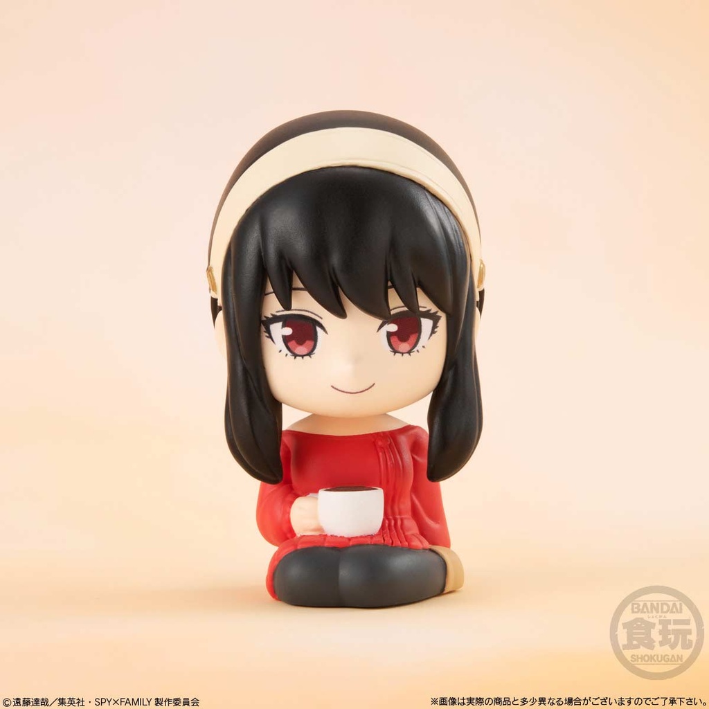 (PO) Relacot SPY x FAMILY [BOX] Image_4