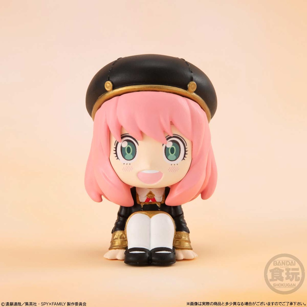 (PO) Relacot SPY x FAMILY [BOX] Image_5