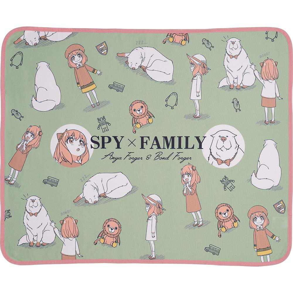 Ichiban Kuji - SPY×FAMILY - Embark on a Mission (Full ctn of 80 tickets) Image_5