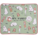Ichiban Kuji - SPY×FAMILY - Embark on a Mission (Full ctn of 80 tickets) Image_5
