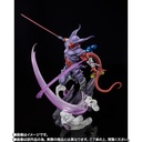 (PO) Figuarts Zero Dragonball Z [Extra Battle] Janemba Image_2