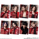 (PO) Battle of Tokyo Twin Wafer Card [BOX] Image_5