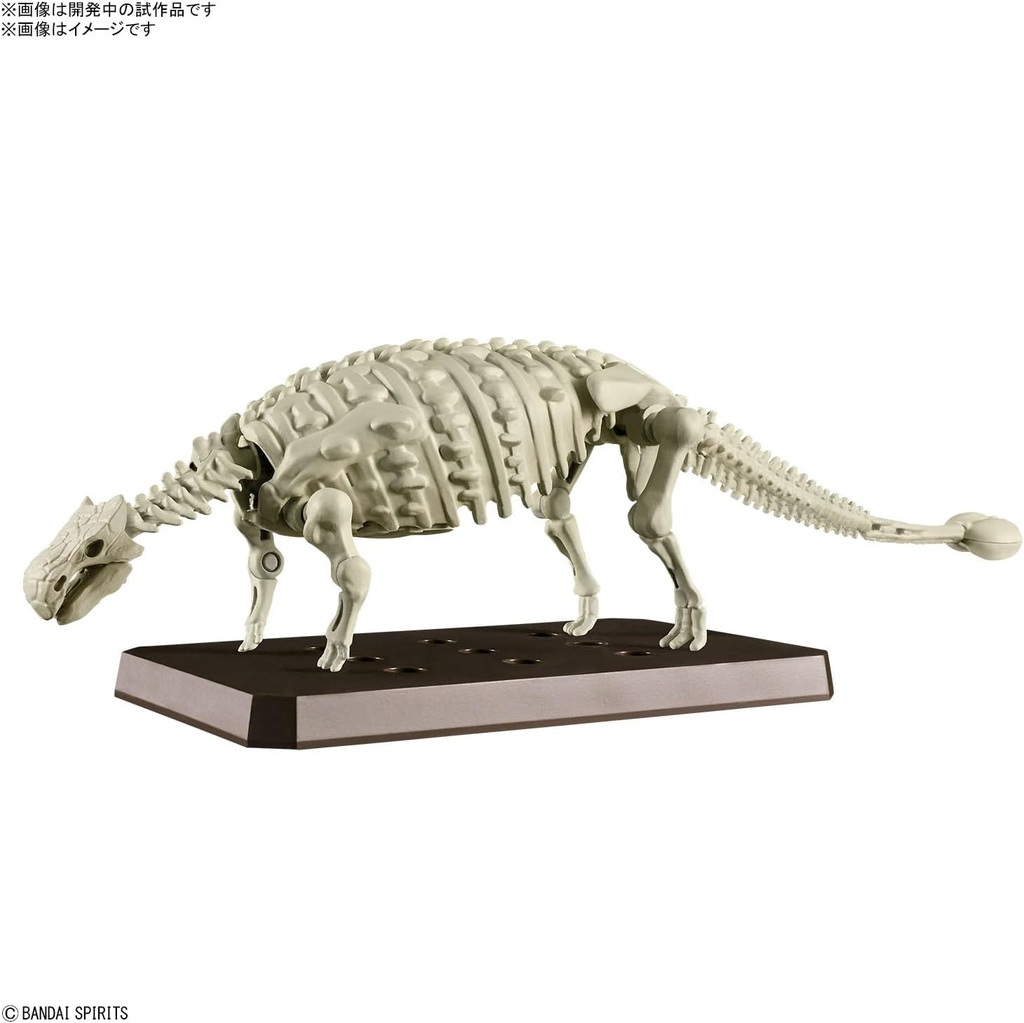 (PO) PLANNOSAURUS Ankylosaurus Image_3