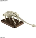 (PO) PLANNOSAURUS Ankylosaurus Image_4