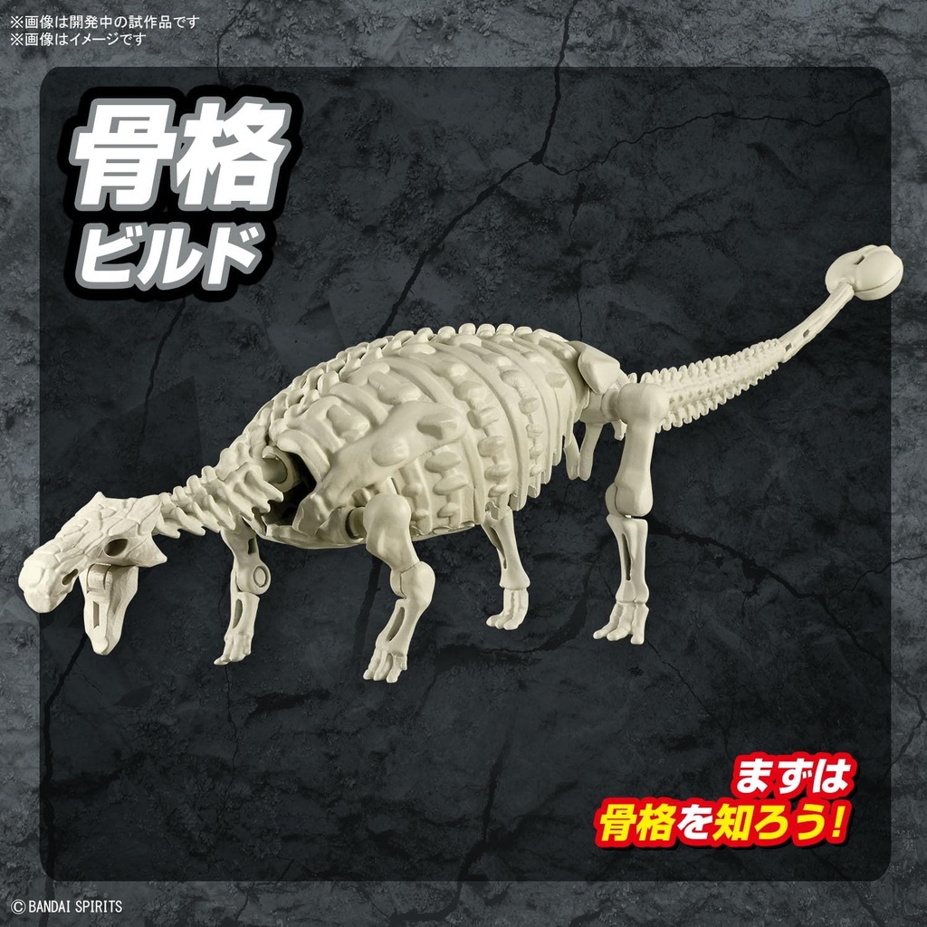 (PO) PLANNOSAURUS Ankylosaurus Image_7