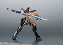 (PO) Robot Spirits Side MS Gundam SEED GAT-X207 Blitz Gundam Ver. A.N.I.M.E. Image_11