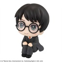 (PO) Look Up Series Harry Potter Image_1