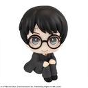 (PO) Look Up Series Harry Potter Image_2