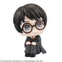 (PO) Look Up Series Harry Potter Image_4