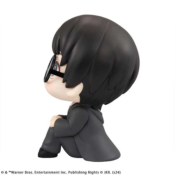 (PO) Look Up Series Harry Potter Image_5