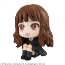 (PO) Look Up Series Harry Potter - Hermione Granger Image_4