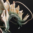 (PO) Capcom Figure Builder Cube Monster Hunter Storm Dragon Amatsu Image_20