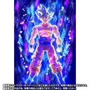 (PO) S.H.Figuarts Dragonball Super Son Goku Ultra Instinct - Toyotarou Edition Image_10