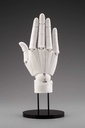 (PO) Artist Support Item Hand Model/R -White- Image_2