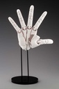 (PO) Artist Support Item Hand Model/R -White- Image_4