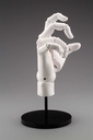 (PO) Artist Support Item Hand Model/R -White- Image_5