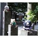 (PO) MEGA CAT PROJECT NARUTO Nyantomo Ookina NYARUTO! 1 Tsunade Image_5