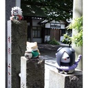 (PO) MEGA CAT PROJECT NARUTO Nyantomo Ookina NYARUTO! 1 Tsunade Image_6