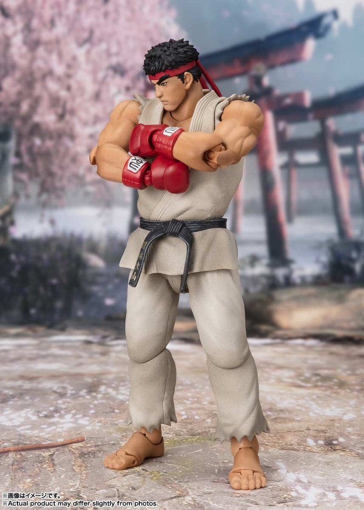 (PO) S.H.Figuarts Street Fighter - Ryu Outfit 2 Image_8