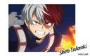 (PO) My Hero Academia Trading Photo Style Card Vol. 1 [BOX] Image_6