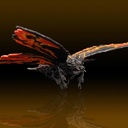 (PO) Nankoku Factory Godzilla vs. Mothra - Battra (Adult) Soft Vinyl Kit Reprint Edition Image_3