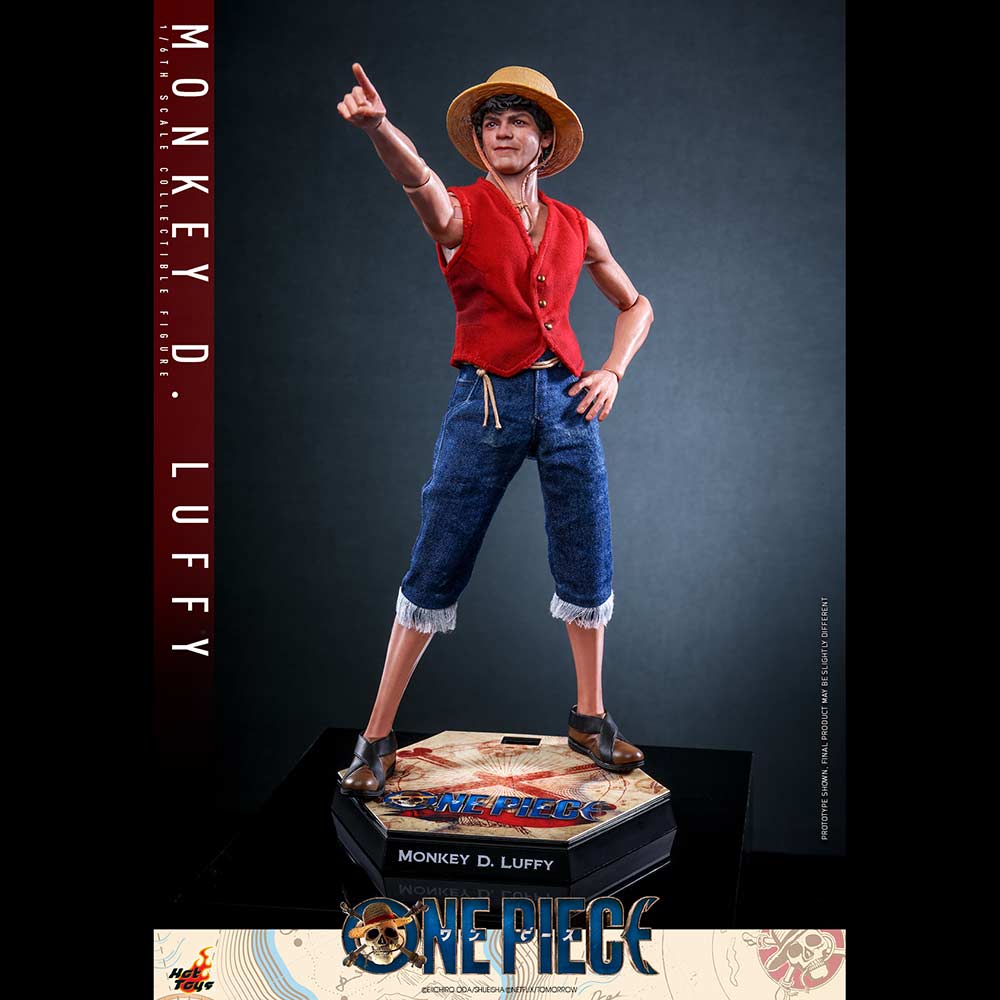 (PO) Television Masterpiece Series TMS109 - One Piece - Monkey D. Luffy Image_5
