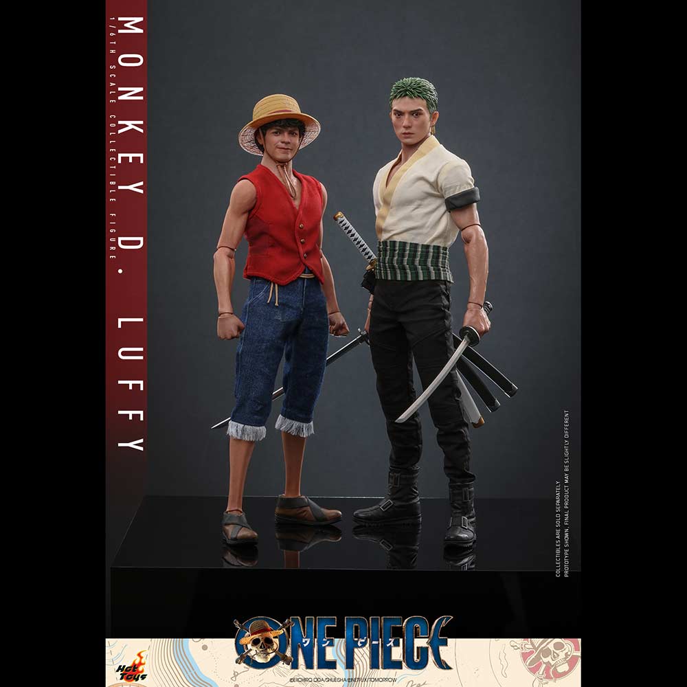 (PO) Television Masterpiece Series TMS109 - One Piece - Monkey D. Luffy Image_7