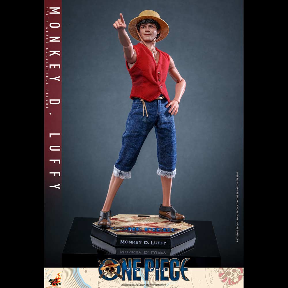 (PO) Television Masterpiece Series TMS109 - One Piece - Monkey D. Luffy Image_8