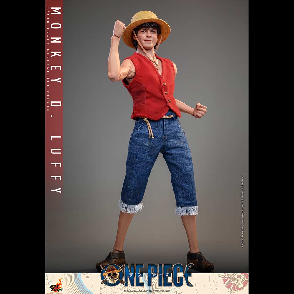 (PO) Television Masterpiece Series TMS109 - One Piece - Monkey D. Luffy Image_11