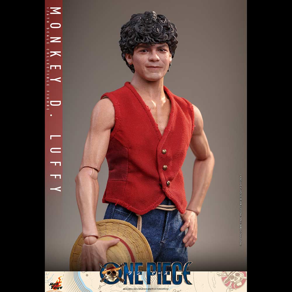 (PO) Television Masterpiece Series TMS109 - One Piece - Monkey D. Luffy Image_13