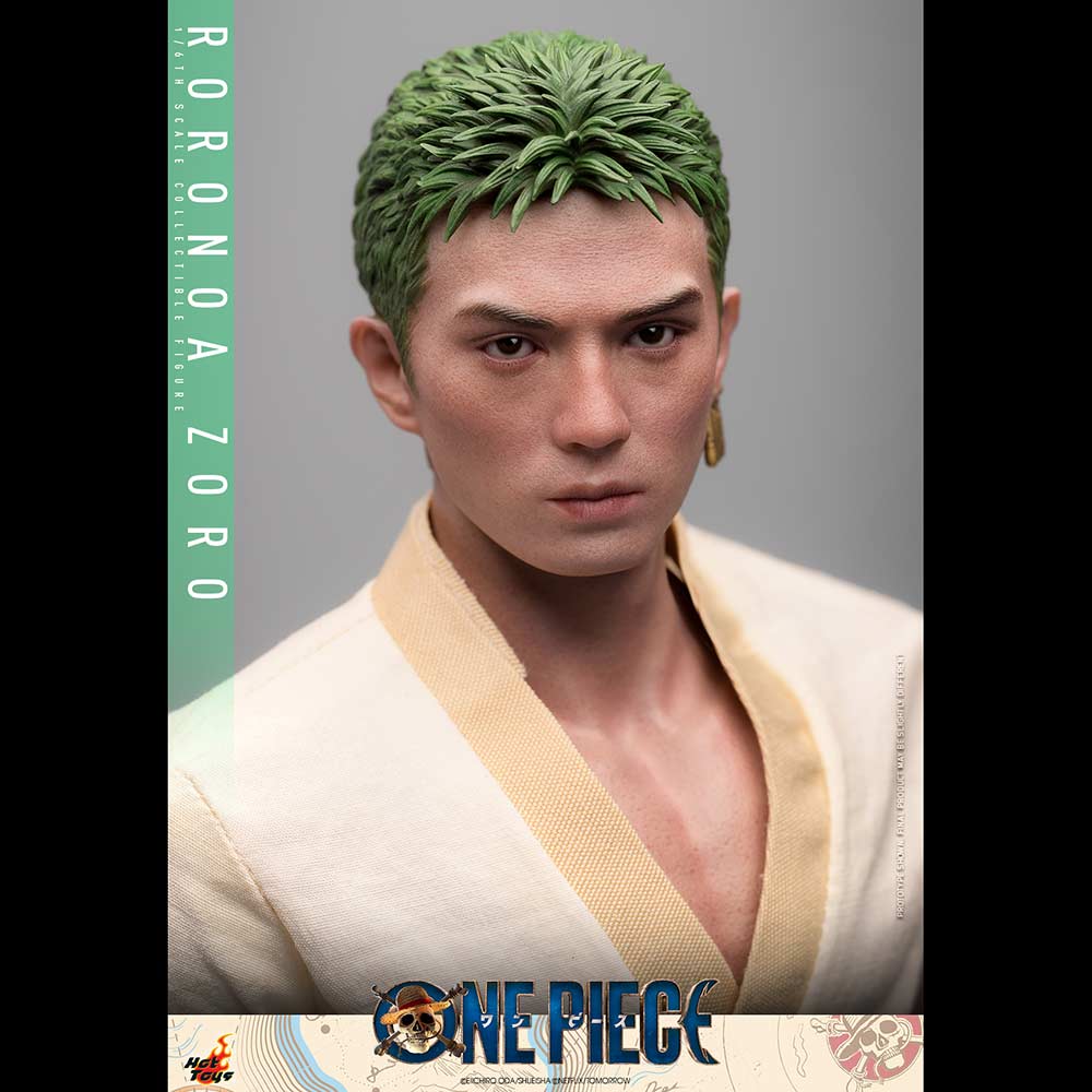 (PO) Television Masterpiece Series TMS110 - One Piece - Roronoa Zoro Image_14