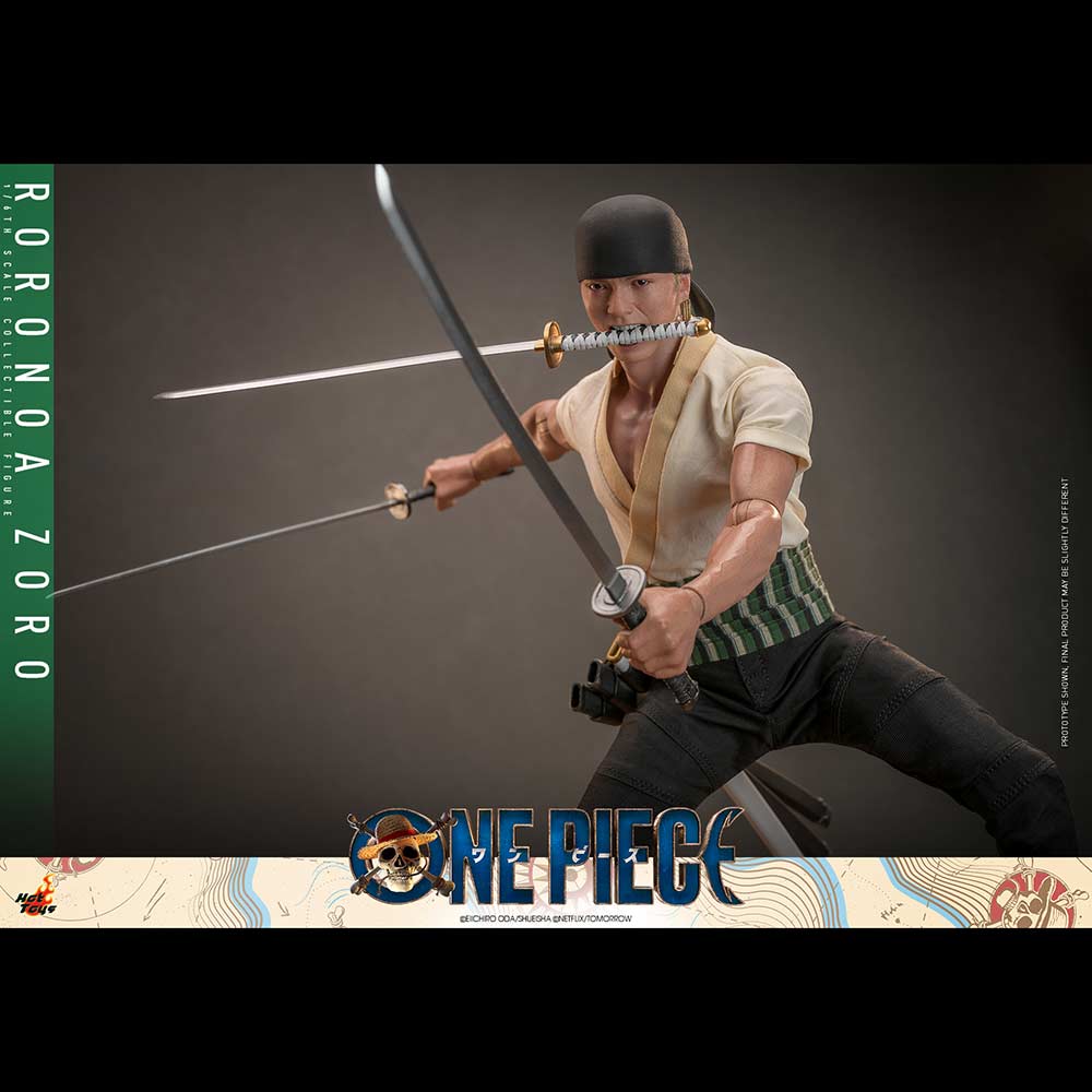(PO) Television Masterpiece Series TMS110 - One Piece - Roronoa Zoro Image_15