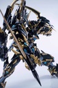 CD-02B Four Great Beasts Black Tiger Image_7