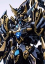 CD-02B Four Great Beasts Black Tiger Image_9