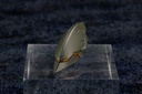 (PO) Kit Block Hexa Gear Booster Pack 011 Biting Scissors Image_5